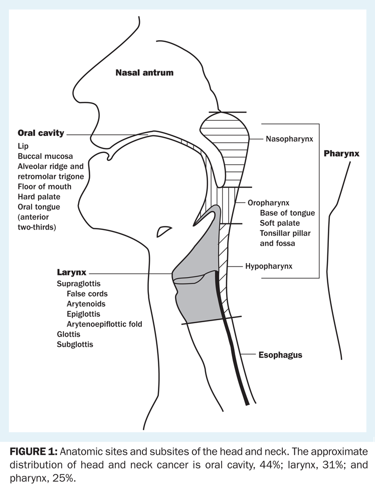 types of neck tumors